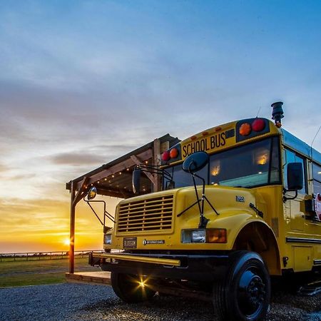 American School Bus - 1 Bedroom - Blossom Farm - Tiers Cross 존스톤 외부 사진