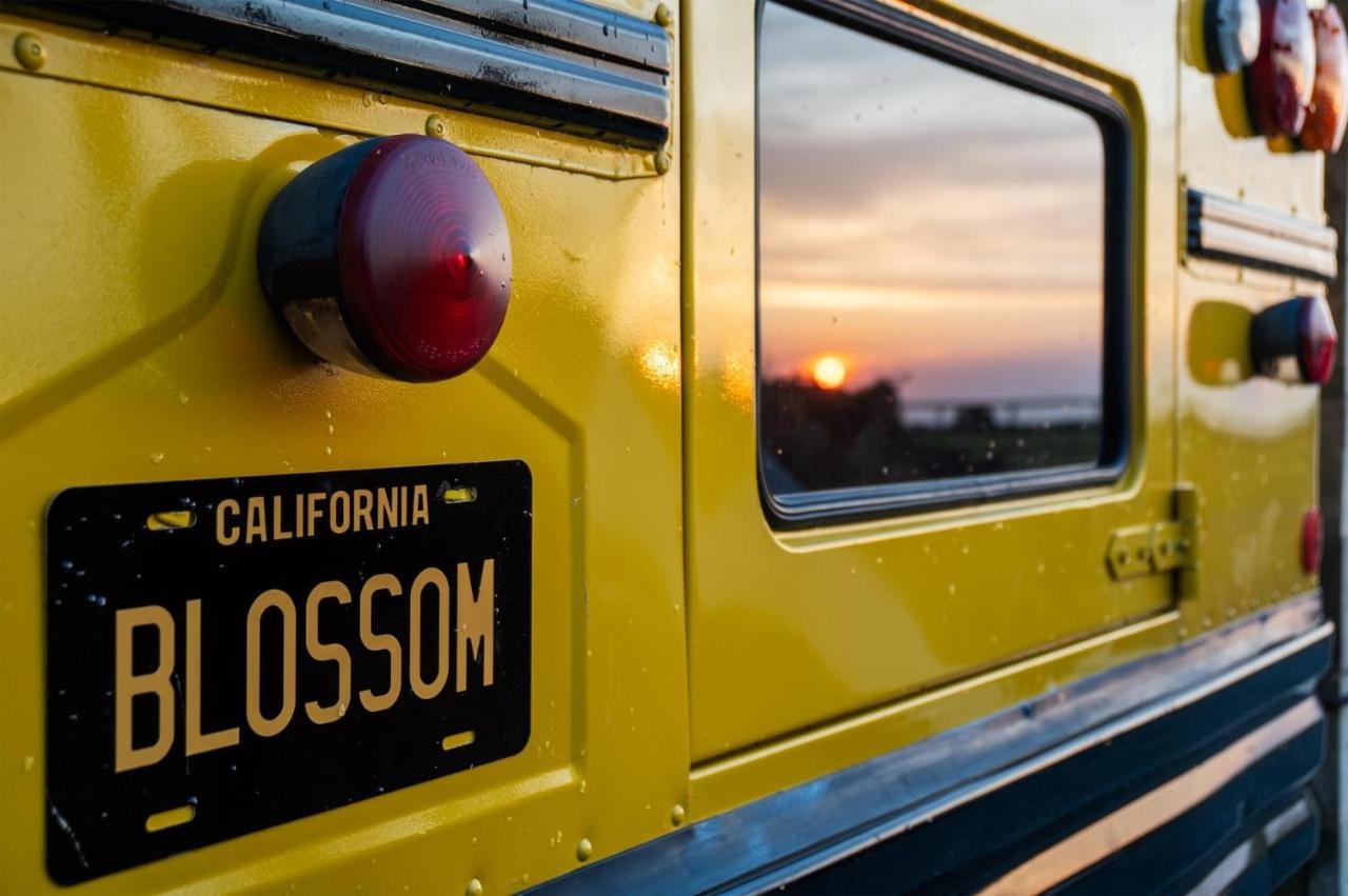 American School Bus - 1 Bedroom - Blossom Farm - Tiers Cross 존스톤 외부 사진